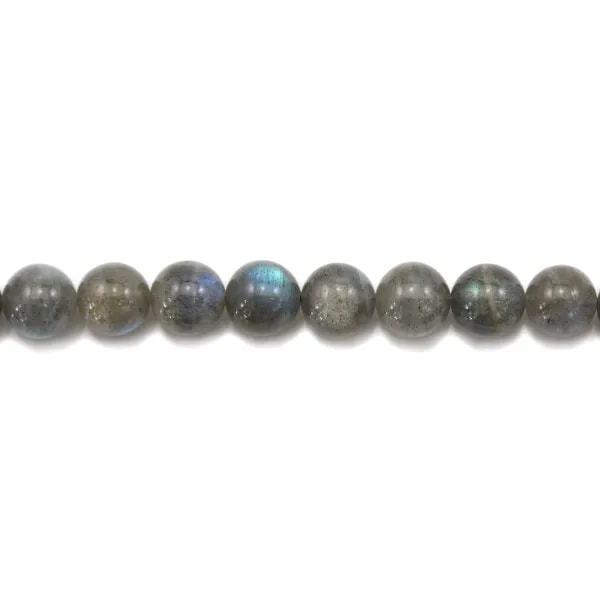 Labradorite Ronde 14mm x 1pc