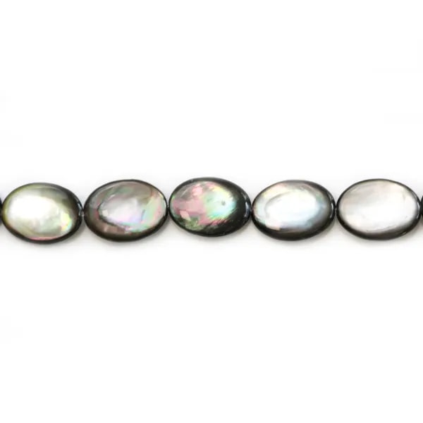 Nacre grise en forme d'oval bombé 15x20mm x 2pcs
