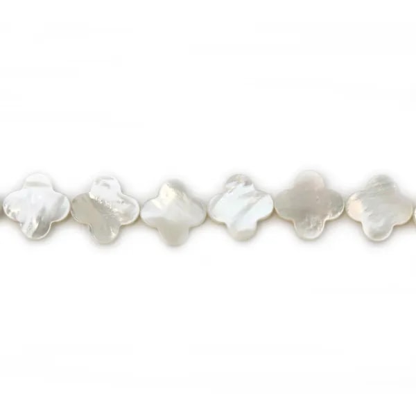 Nacre blanche en forme de trèfle sur fil 18mm x 40cm