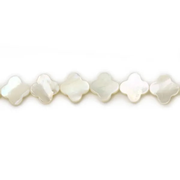 Nacre blanche en forme de trèfle 10mm x 4 st