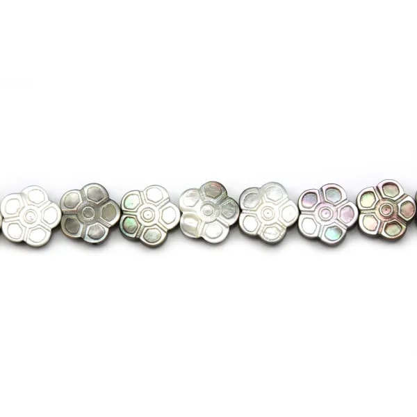 Nacre d'abalone en forme de fleur sur fil 18mm x 40cm