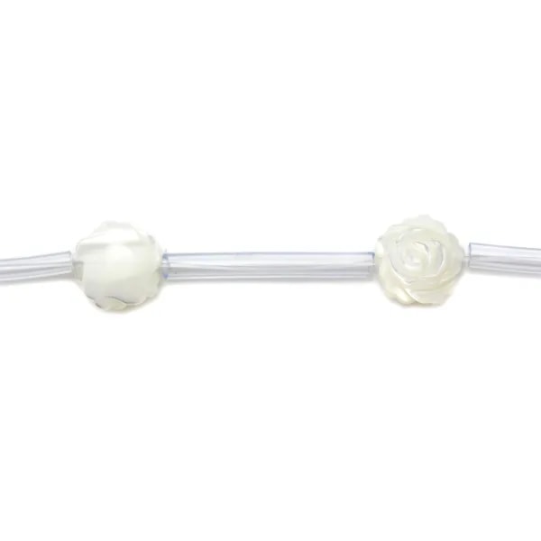 Nacre blanche en forme de rose sur fil 8mm x 40cm