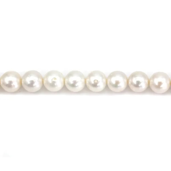 Perle de culture d'eau douce, blanche, ronde, 9.5-10mm x 40cm