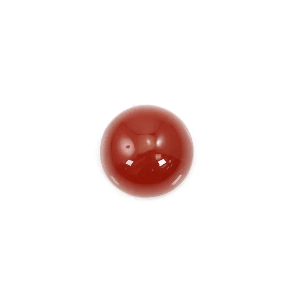 Cabochon cornaline ronde 14mm x 1pc
