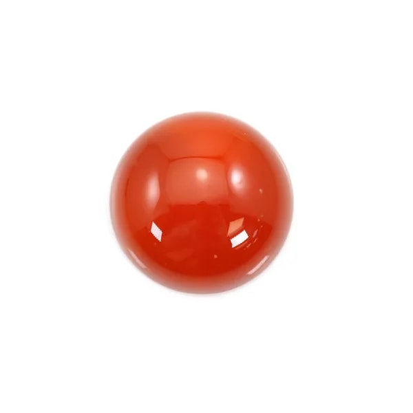 Cabochon carnelian round 10mm x 2pcs