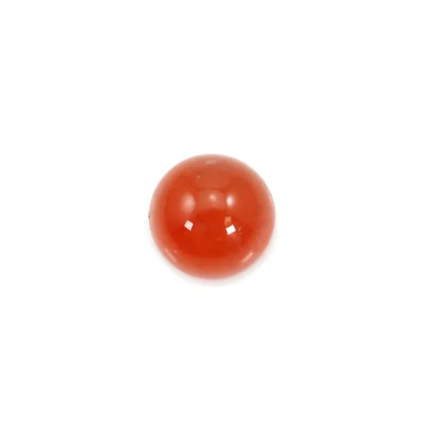 Cabochon cornaline ronde 4mm x 4pcs