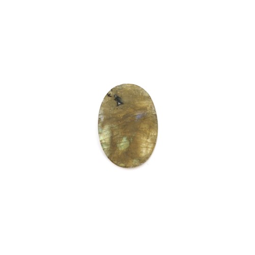 Cabochon labradorite, ovale plat 10x14mm x 1pc