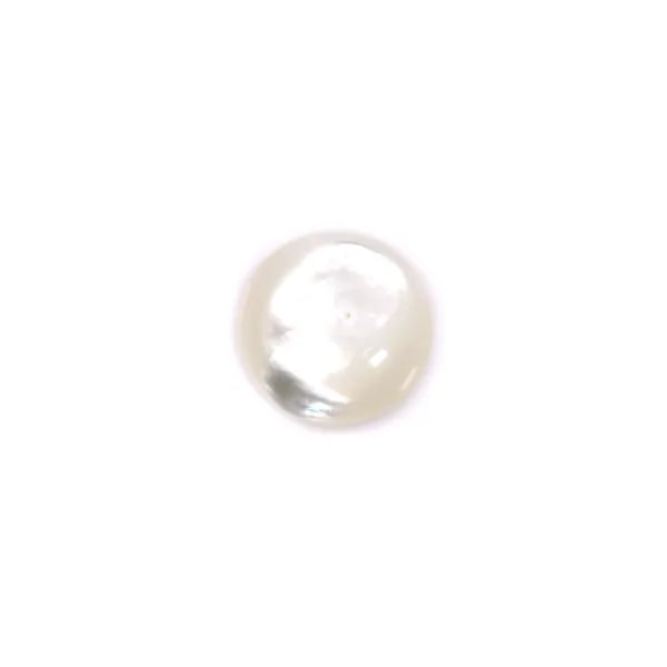 Round cabochon 12mm White Mother-of-Pearl x1