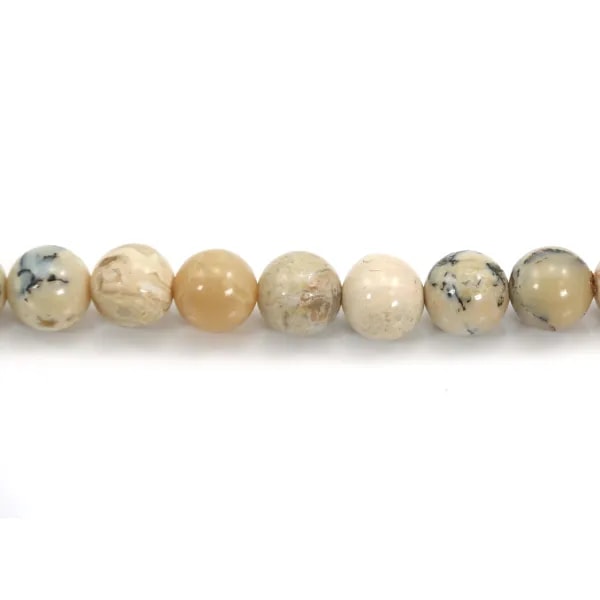 Africain opal round 8mm x 40cm