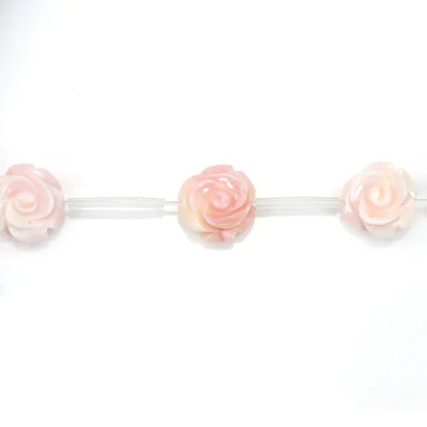 Queen conch flower 12mm x 40cm