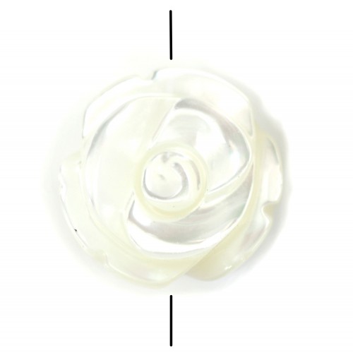 Nacre blanche en forme de rose 12mm x 2 st