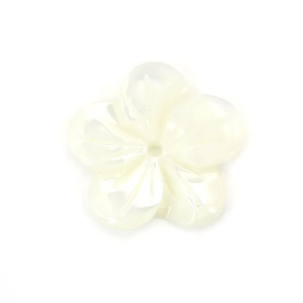 Nacre blanche en forme de fleur à 5 pétales 15mm x 1pc