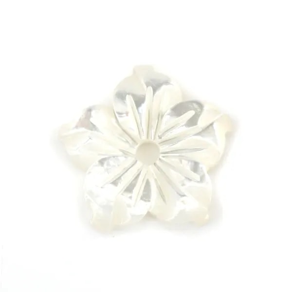 White mother-of-pearl 5 petal flower 10mm x 1pc
