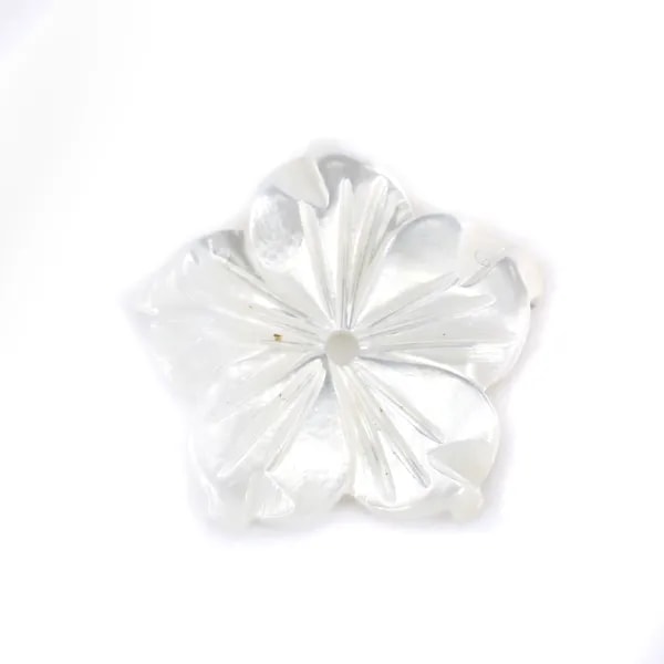 Nacre blanche en fleur de 5 pétales 8mm x 1pc