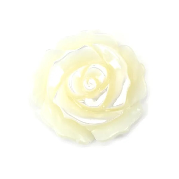 Nacre blanche en rose semi-percée 25mm x 1pc