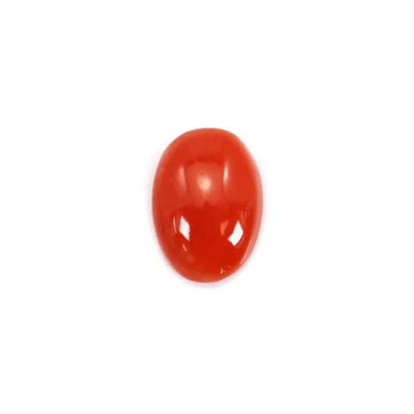 Natural Red Coral Cabochon Oval 4x6mm x 1pc
