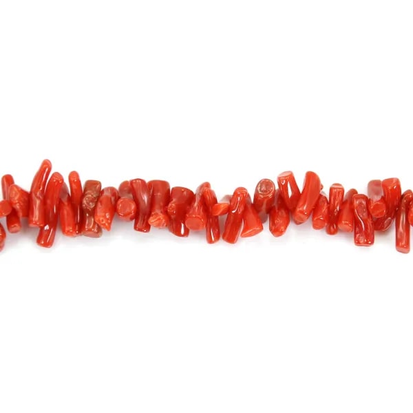 Tubo barocco in corallo rosso naturale x 50 cm