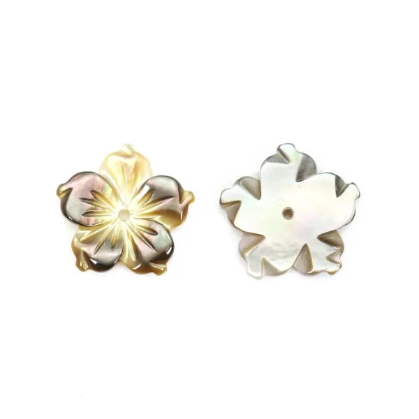 Nacre grise en forme de fleur à 5 pétales 10mm x 1pc