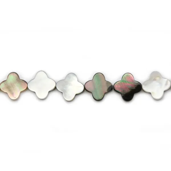 Nacre grise trèfle sur fil 18mm x 40cm