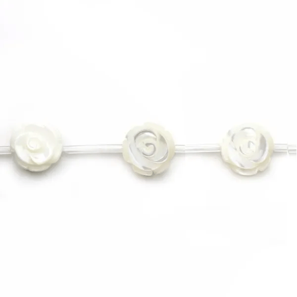 Nacre blanche Rose 15mm x 41 cm (15pcs)