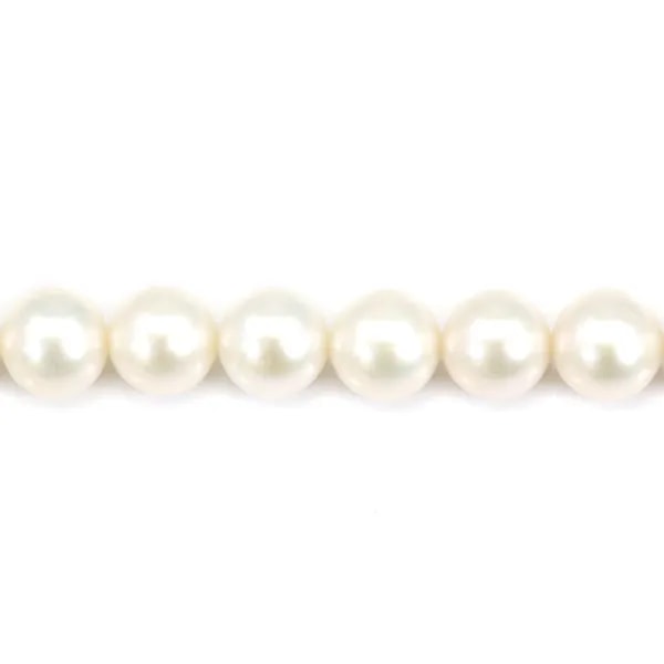 White round freshwater pearl  round 10-11mm x 40cm