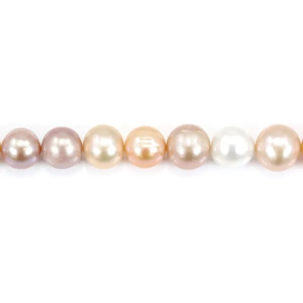 Perles de culture d'eau douce ,multicolore, ovale, 12-14mm x 39cm