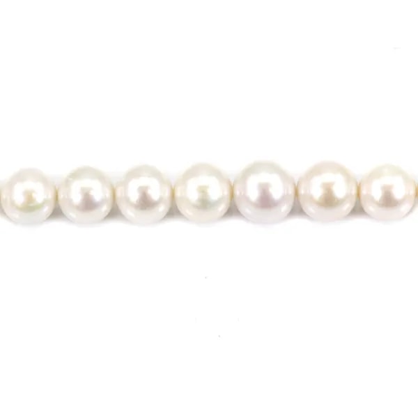 Perle de culture d'eau douce, blanche, ronde 11-13mm, AA x 40cm