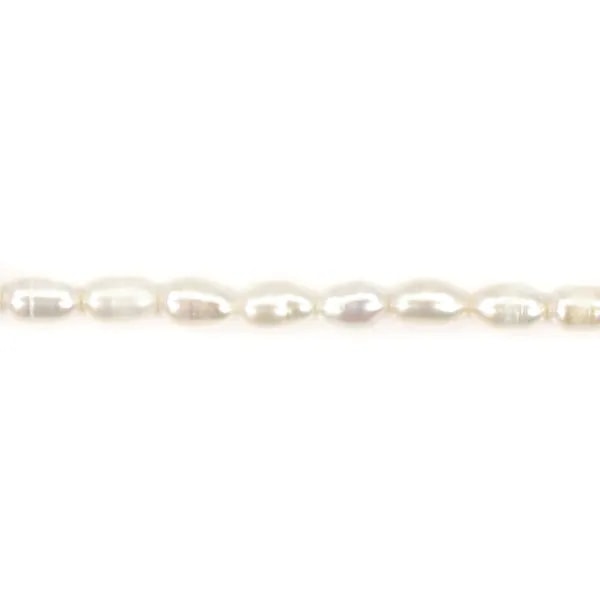 Perle de culture d'eau douce, blanche, olive, 4-4.5mm x 36cm