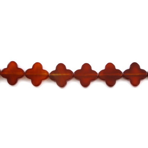 Agate rouge demi rond 8mm x 40cm