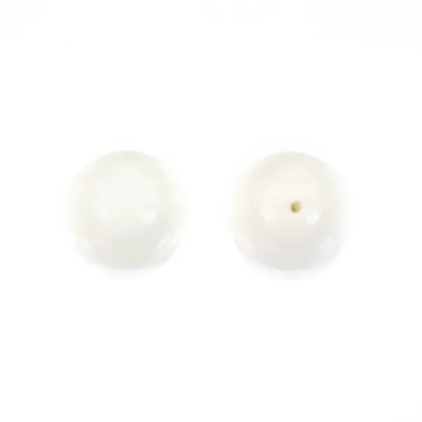 Clam, half drilled, round 12mm x 1pc