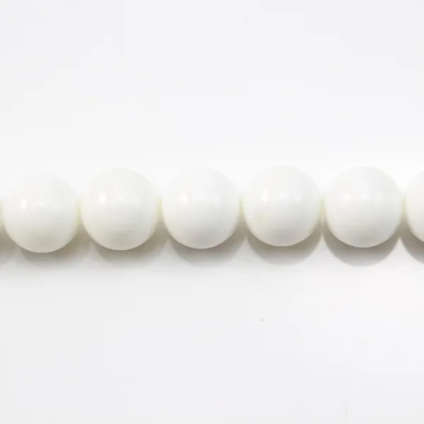 Clam Round 6mm x 20 pcs