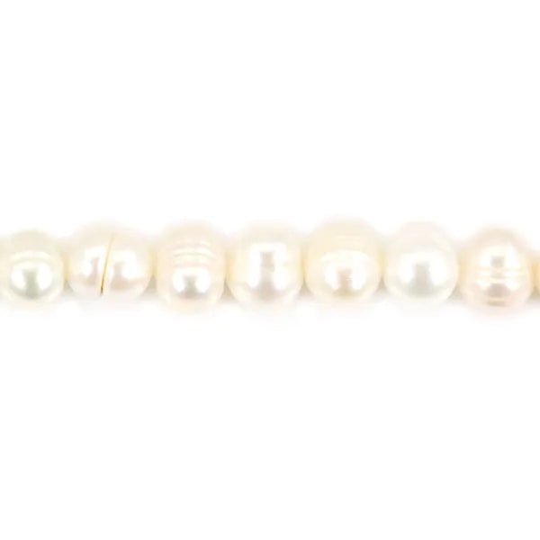 Perle de culture d'eau douce, blanche, ovale, 6-7mm x 36cm