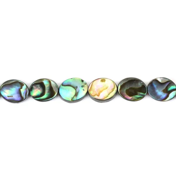Nacre Abalone ovale 8x10mm x 40cm