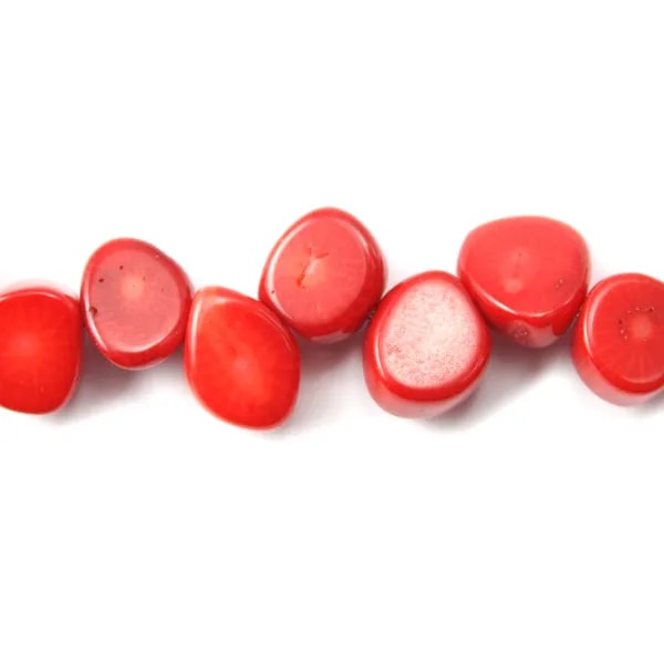 Bamboo de mer teinte rouge rond plate divers 14.5mm 