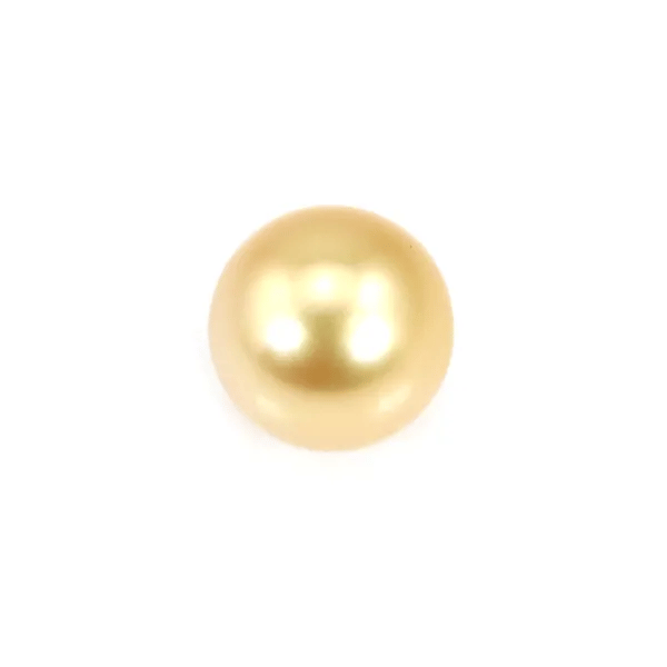 Perle des mers du Sud, dorée, semi-ronde, 11.5-12mm x 1pc