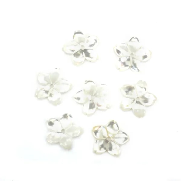Nacre blanche en fleur à 5 pétales 10mm x 1pc