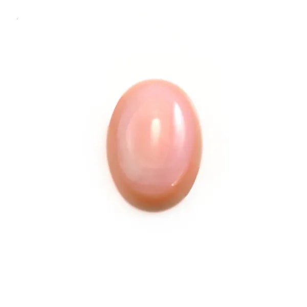 Lambi Cabochon oval 8x10mm x 1pc