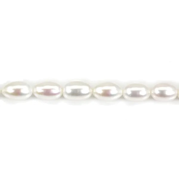 Perle de culture d'eau douce, blanche, olive, 9-10mm x 38cm