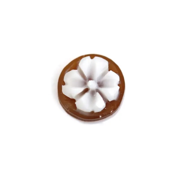 Cabochon Cameo Conch Sardoine runde Blume 10mm x 1Stück