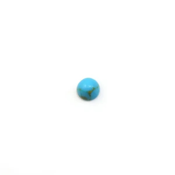 Reconstituted turquoise cabochon round 2mm x 5pcs