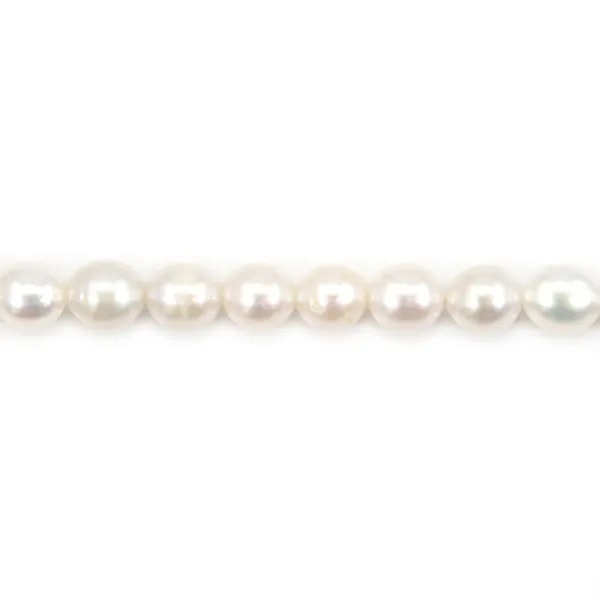 Freshwater cultured pearl, white, olive, 4.5-5mm x 36cm
