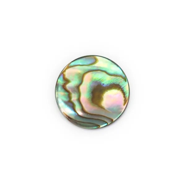 Cabochon Abalone rond plat 14mm x 1pc