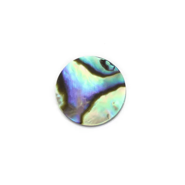 Cabochon Abalone rund flach 12mm x 1 Stück