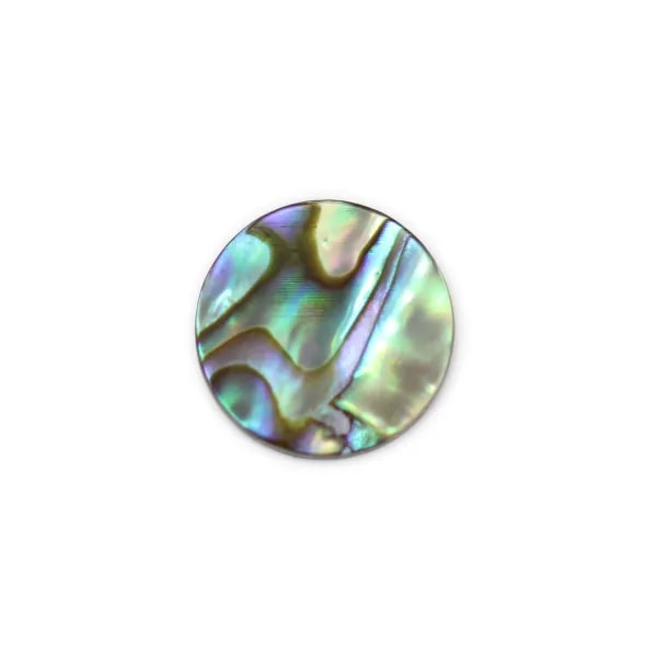Cabochon Abalone rund flach 8mm x 1 Stück