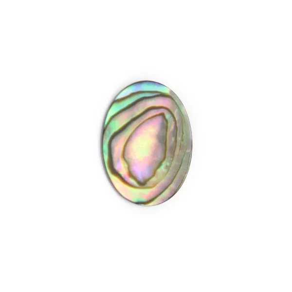 Cabochão Abalone oval plano 13x18mm x 1 peça