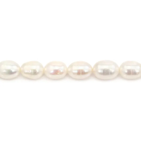 Perle d'acqua dolce bianca ovale 7x9-8x10mm x 40cm