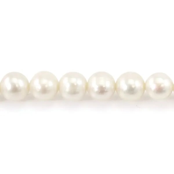 Perla cultivada de agua dulce semi-redonda 8mm | Collar de perla natural