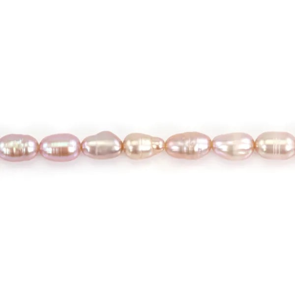 Perles de culture d'eau douce, mauve, olive, 4mm x 4pcs