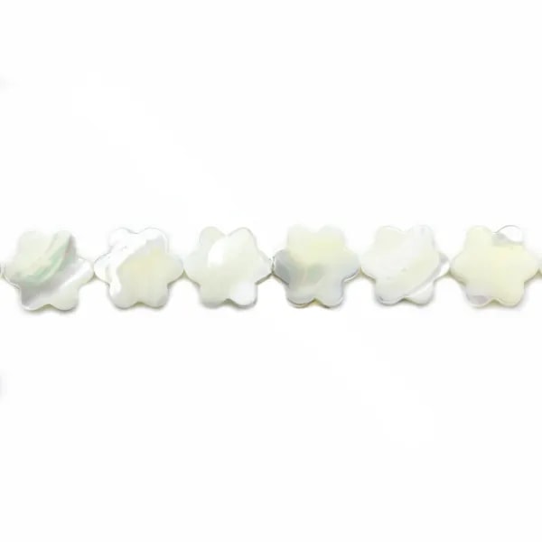 Nácar branco flor com 6 pétalas 12mm x 40cm