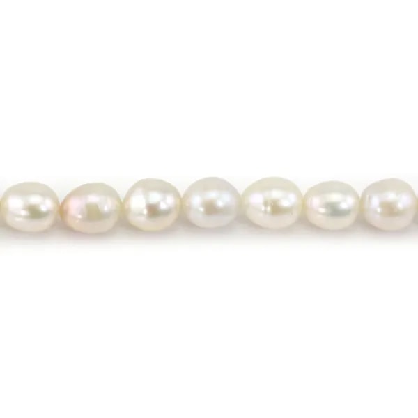 Perlas de cultivo de agua dulce, blancas, oliva, 6-7mm x 37cm